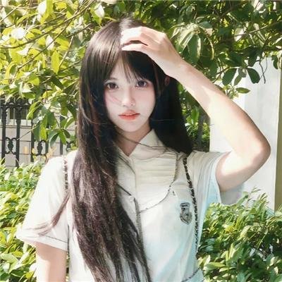 我的会长大人